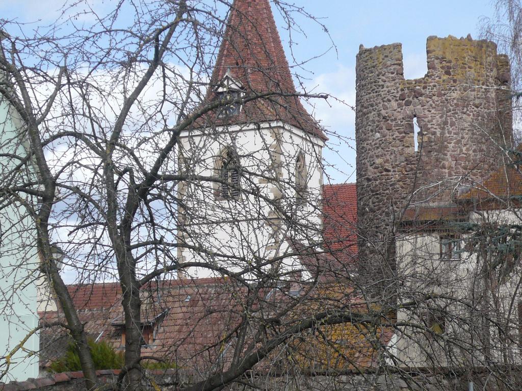 Gite Jasmin Herrlisheim-près-Colmar Eksteriør billede