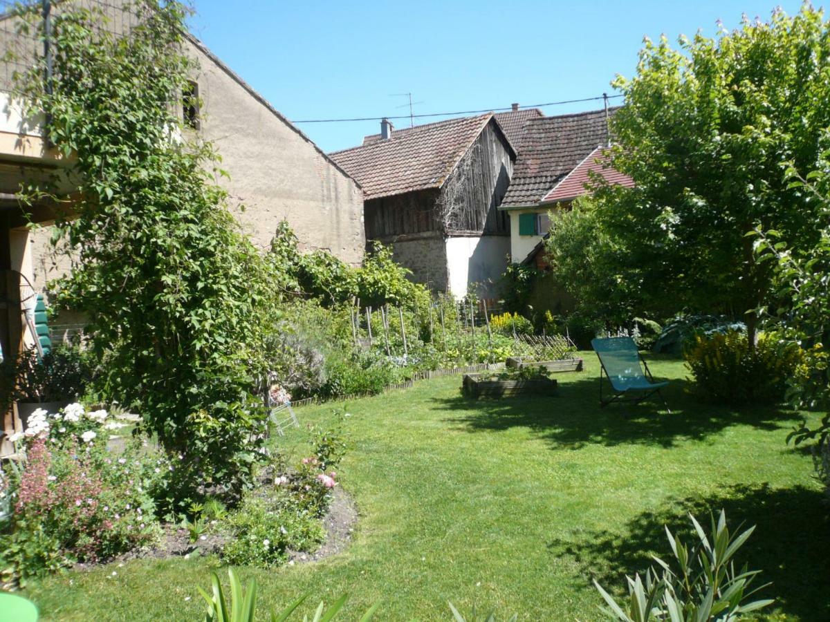 Gite Jasmin Herrlisheim-près-Colmar Eksteriør billede